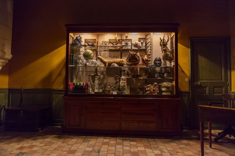 Chateau de Goulaine cabinet of curiosites