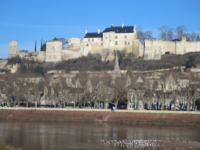 château de Chinon forteresse royale ville médiévale et nombreuses mouettes dans la Vienne affluent de la Loire 