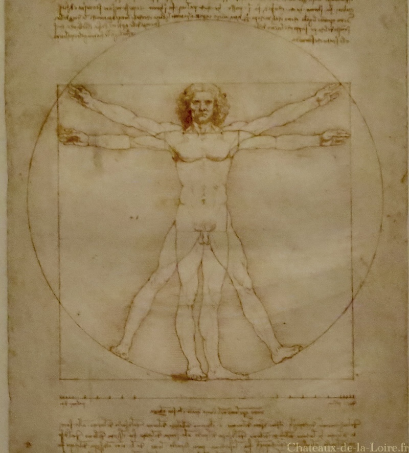 Homme de Vitruve Message secret de Léonard de Vinci