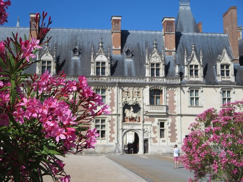 château de Blois Laurier rose